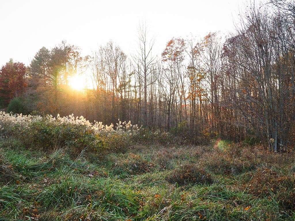 0.78 Acres of Residential Land for Sale in Galax, Virginia