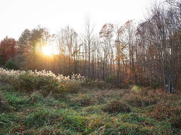 0.78 Acres of Residential Land for Sale in Galax, Virginia