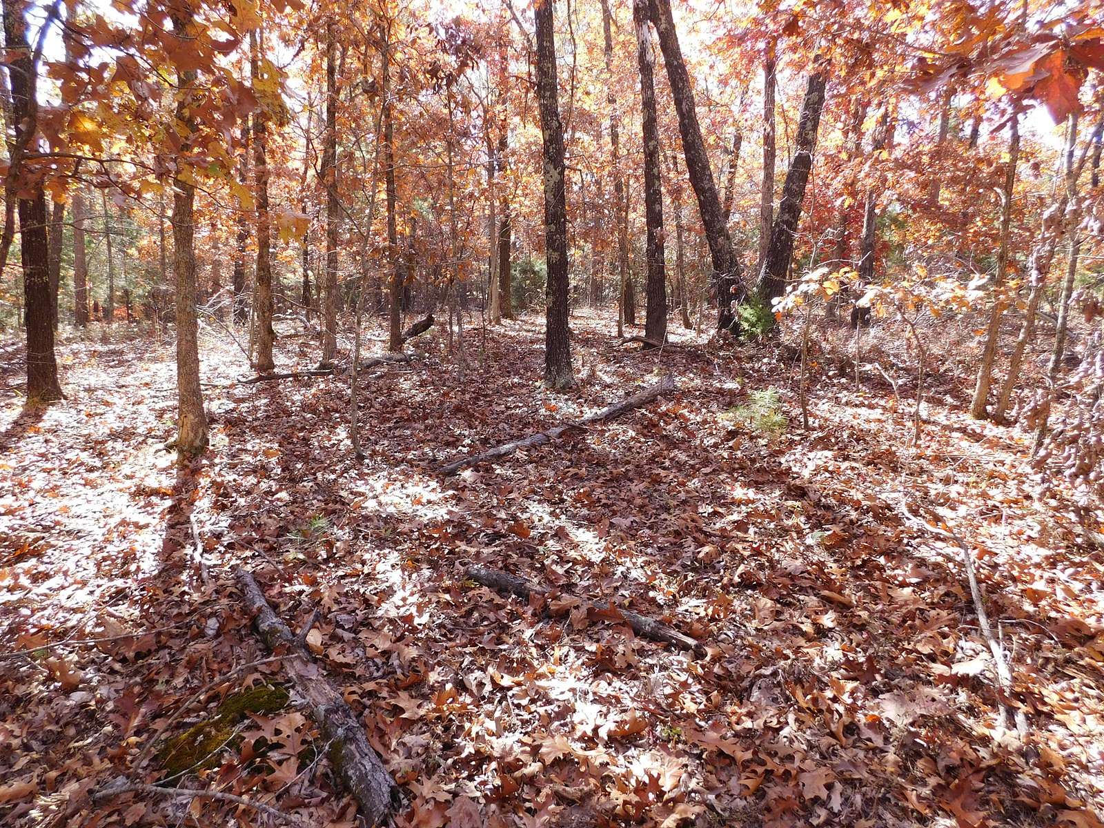 14.5 Acres of Land for Sale in Yellville, Arkansas