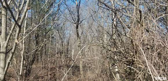 0.35 Acres of Residential Land for Sale in Mackinaw, Illinois