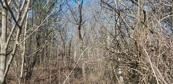 0.35 Acres of Residential Land for Sale in Mackinaw, Illinois