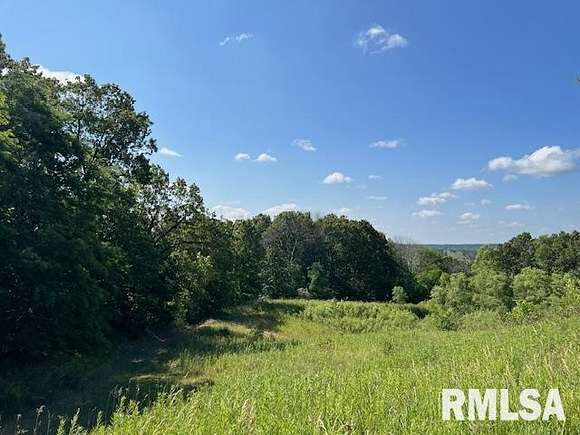 140 Acres of Land with Home for Sale in Smithfield, Illinois