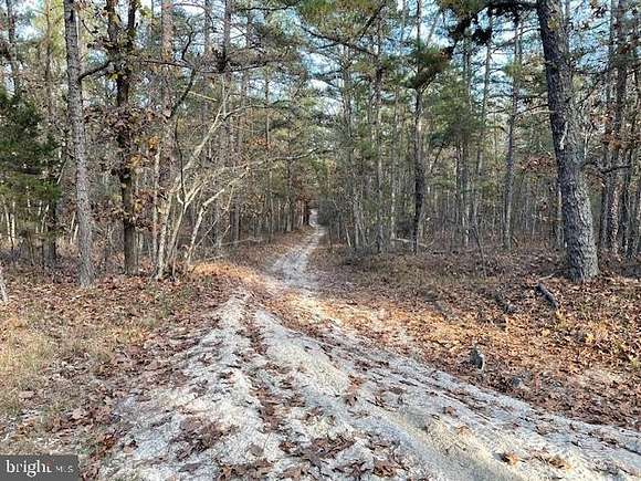 11.5 Acres of Land for Sale in Mays Landing, New Jersey