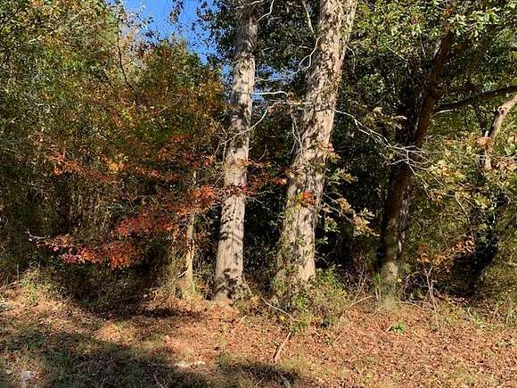 0.5 Acres of Land for Sale in Nelsonia, Virginia