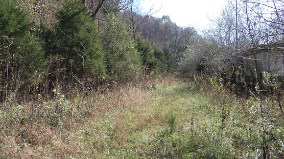 7 Acres of Land for Sale in Celina, Tennessee