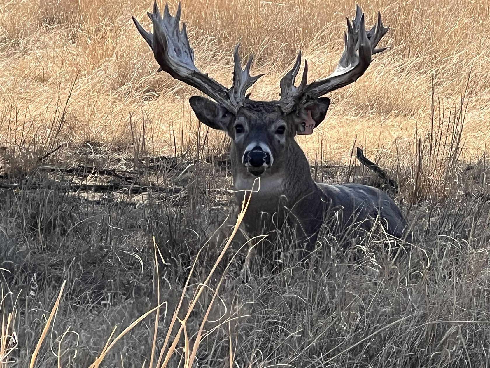 1,320 Acres of Recreational Land & Farm for Sale in Jennings, Kansas