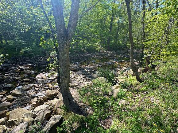13.25 Acres of Recreational Land for Sale in Falling Spring, West Virginia