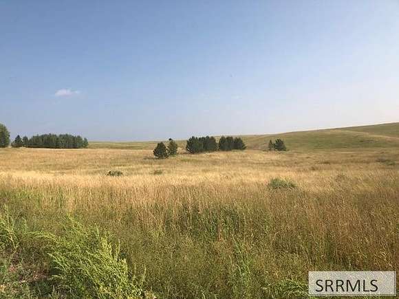 2 Acres of Residential Land for Sale in Ashton, Idaho