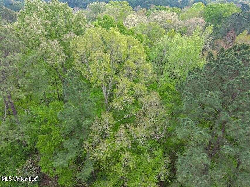 0.66 Acres of Residential Land for Sale in Flowood, Mississippi