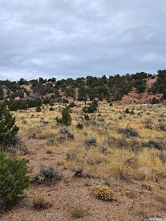 15.5 Acres of Land for Sale in Fruitland, Utah