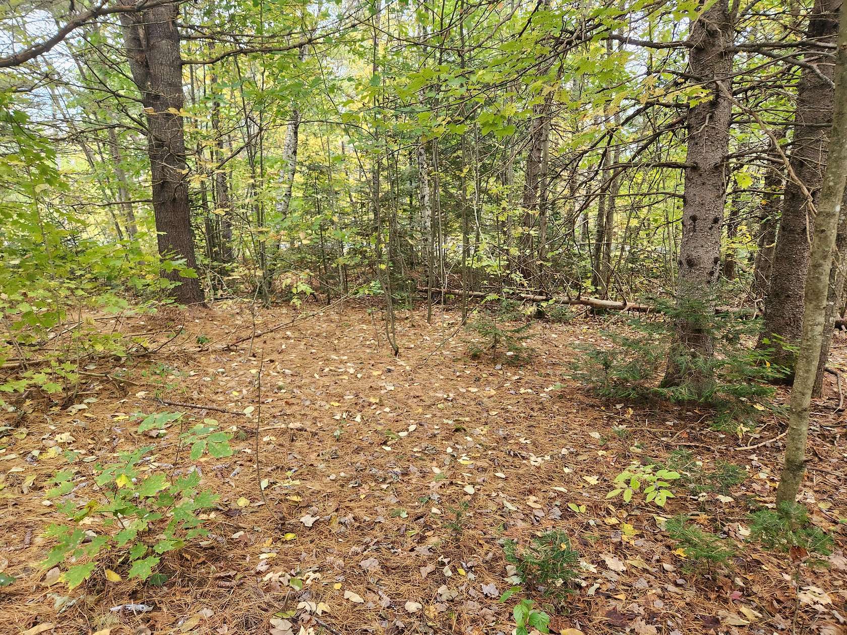 0.73 Acres of Residential Land for Sale in Seboeis Plantation, Maine