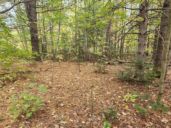 0.73 Acres of Residential Land for Sale in Seboeis Plantation, Maine