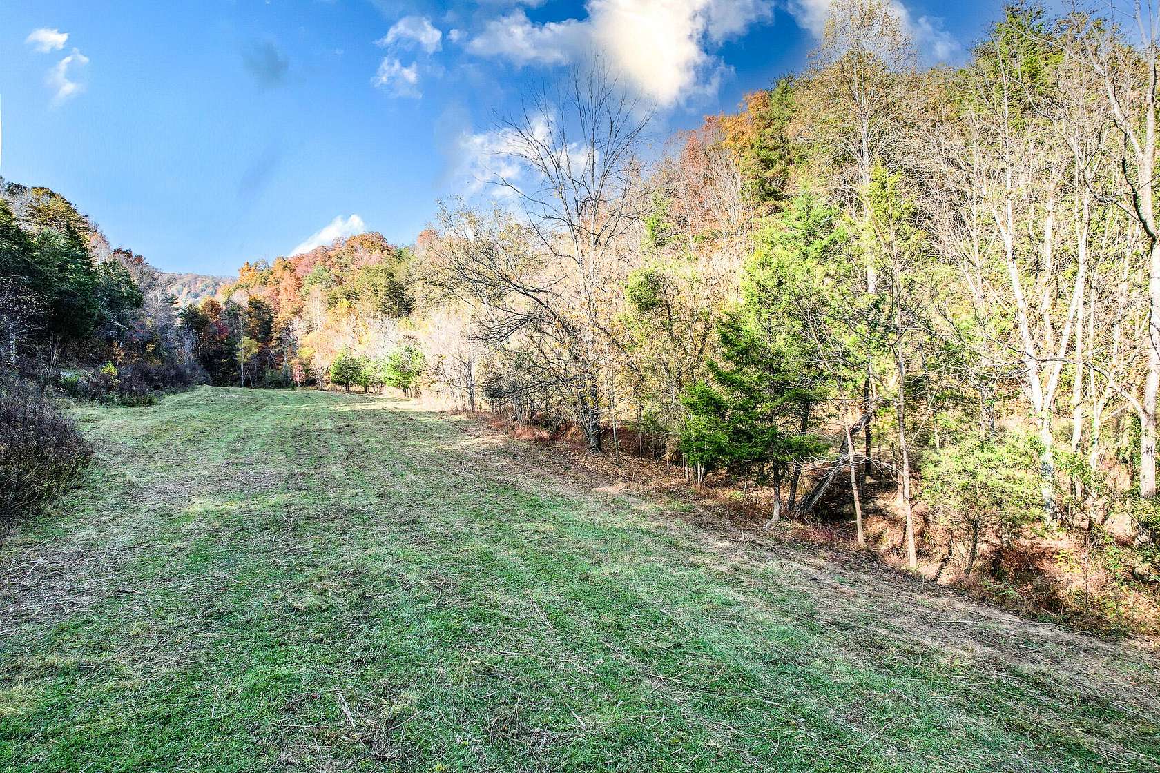 35 Acres of Recreational Land & Farm for Sale in Greeneville, Tennessee