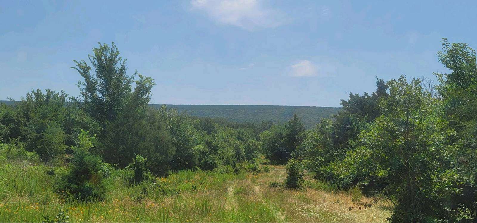 16.35 Acres of Recreational Land for Sale in Snow, Oklahoma