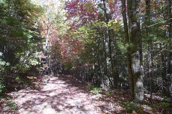6.8 Acres of Recreational Land for Sale in Chilhowie, Virginia