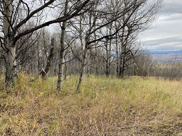 2.9 Acres of Recreational Land for Sale in Butte, Montana