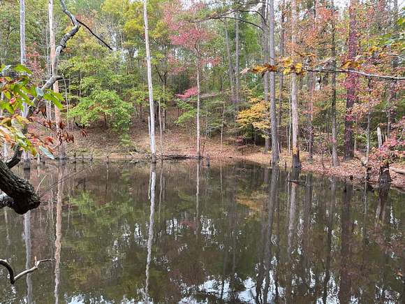 44 Acres of Recreational Land for Sale in McCormick, South Carolina