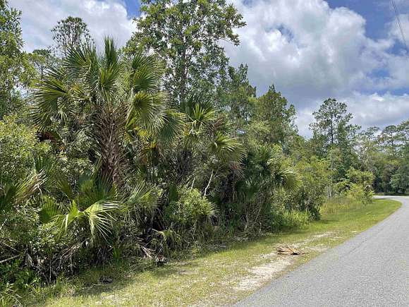 1 Acre of Residential Land for Sale in St. Marks, Florida