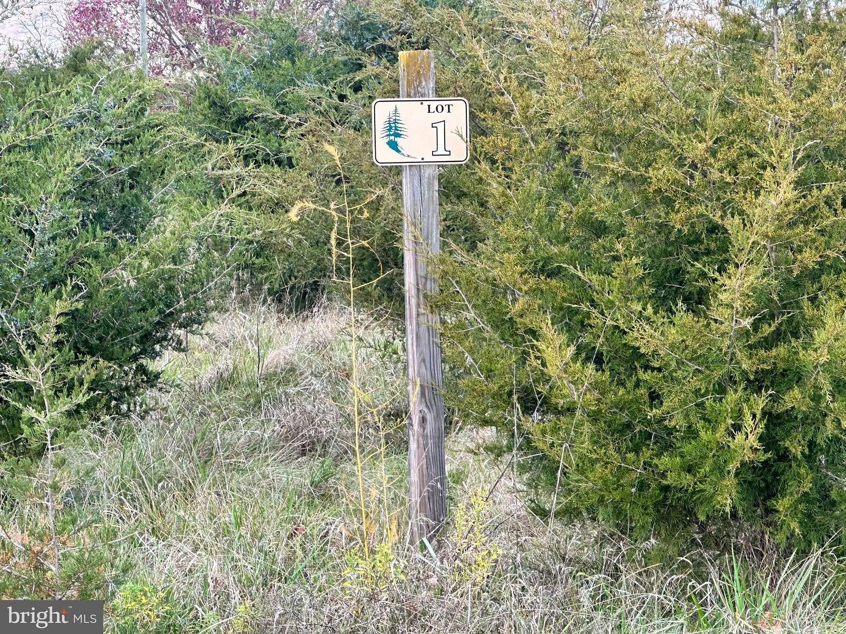 1 Acre of Land for Sale in Keyser, West Virginia