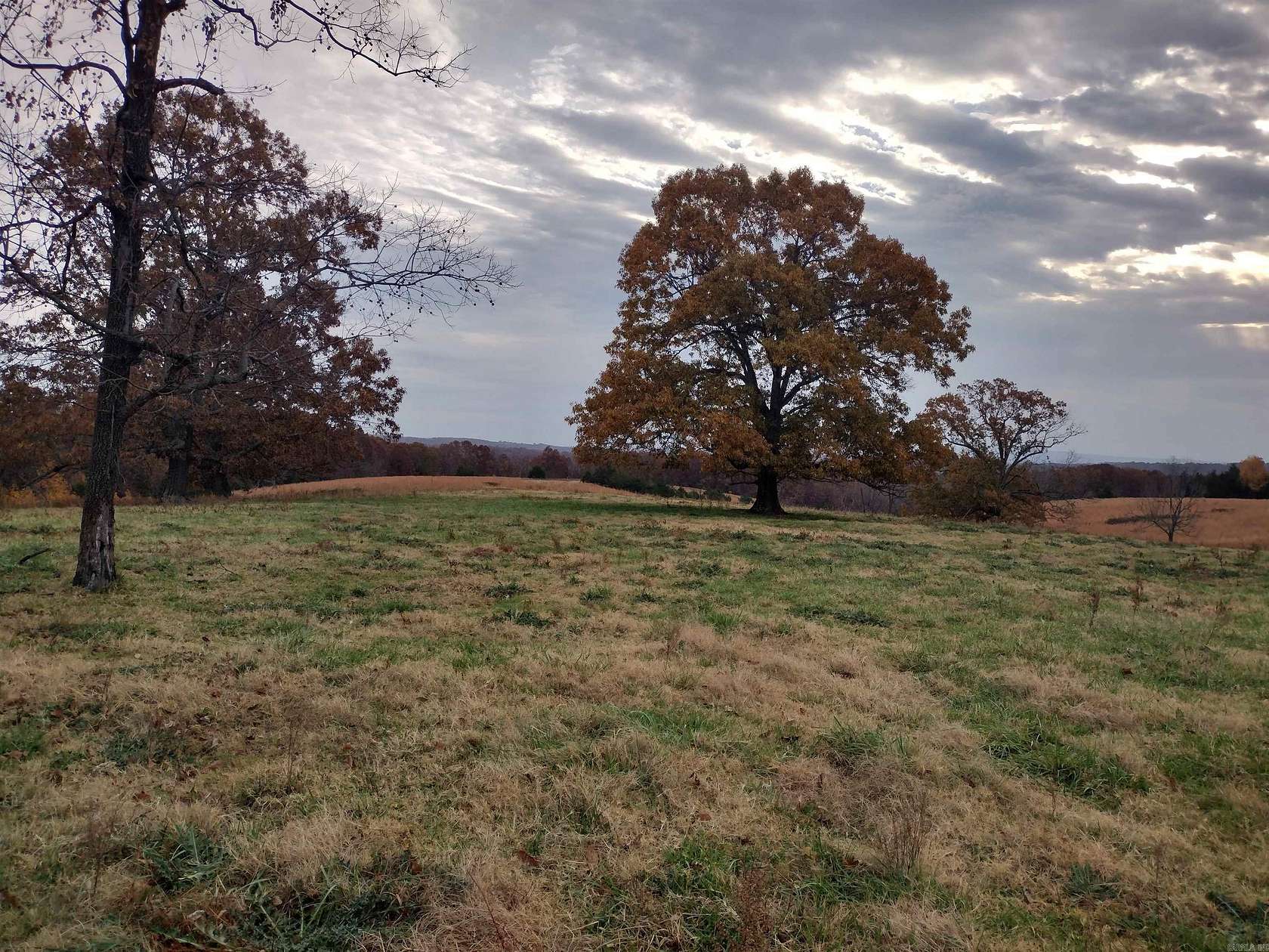 80 Acres of Recreational Land & Farm for Sale in Fiftysix, Arkansas