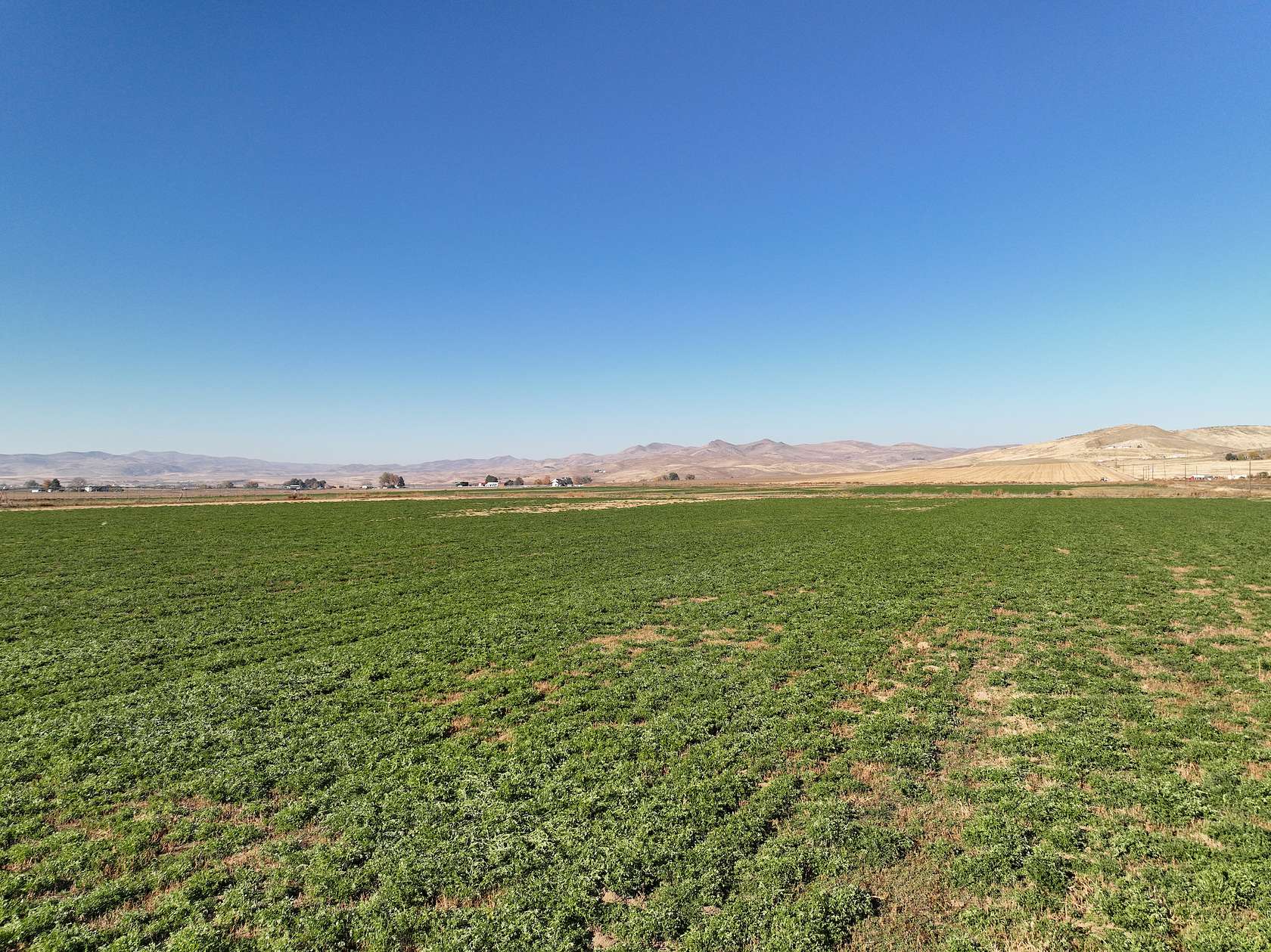 57.5 Acres of Agricultural Land for Sale in Weiser, Idaho