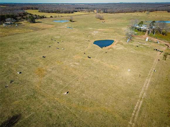 50 Acres of Agricultural Land for Sale in Koshkonong, Missouri