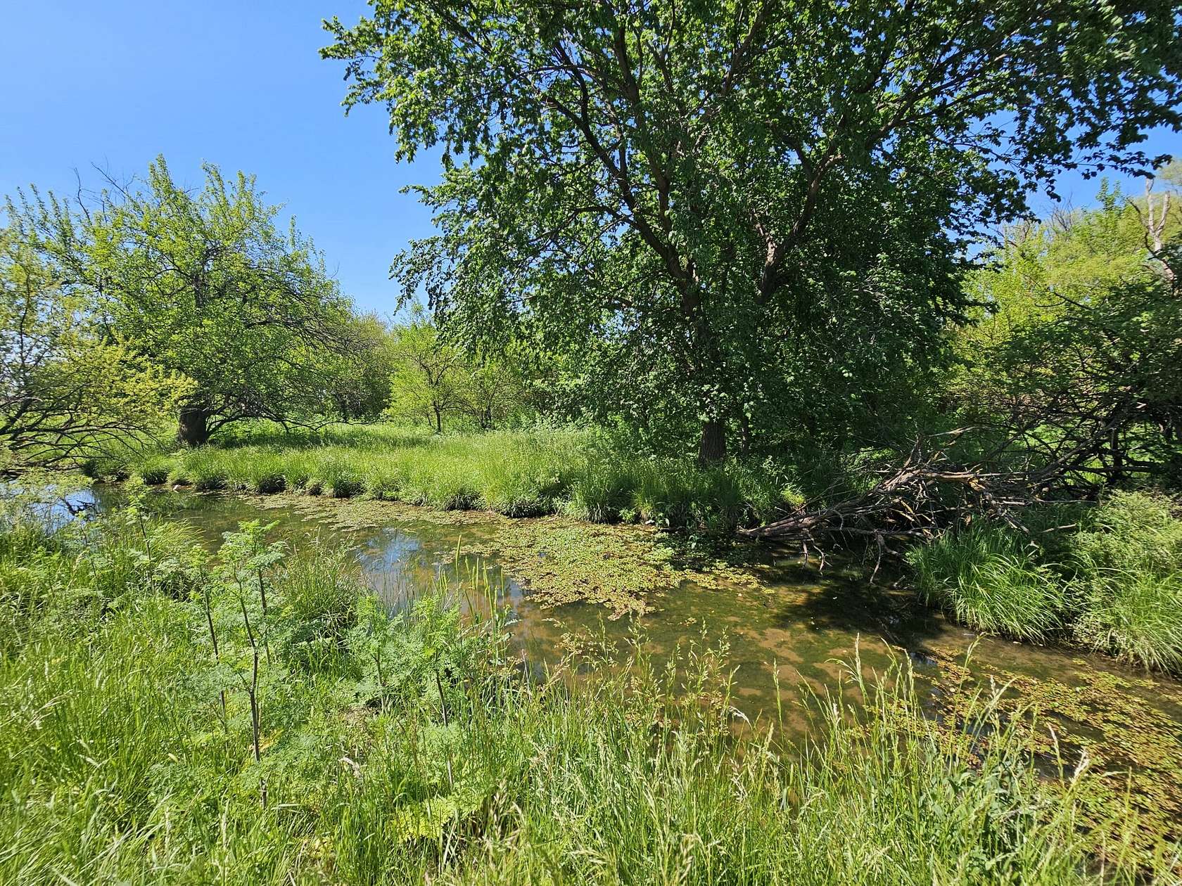 317 Acres of Recreational Land & Farm for Sale in Mayfield, Kansas