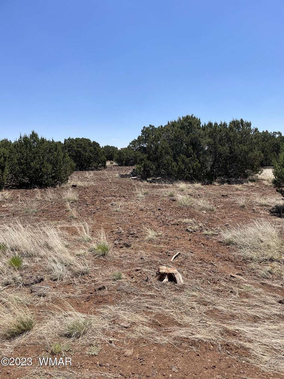 1.15 Acres of Land for Sale in Concho, Arizona