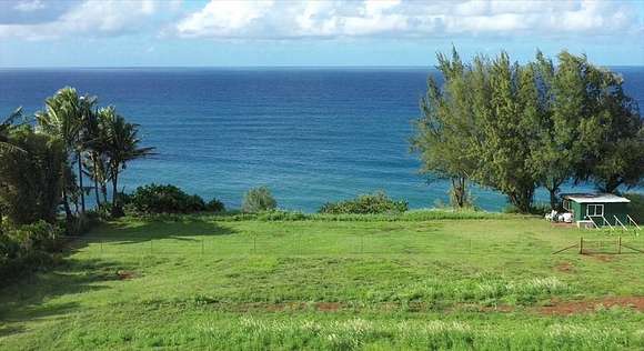 7.875 Acres of Land for Sale in Kilauea, Hawaii