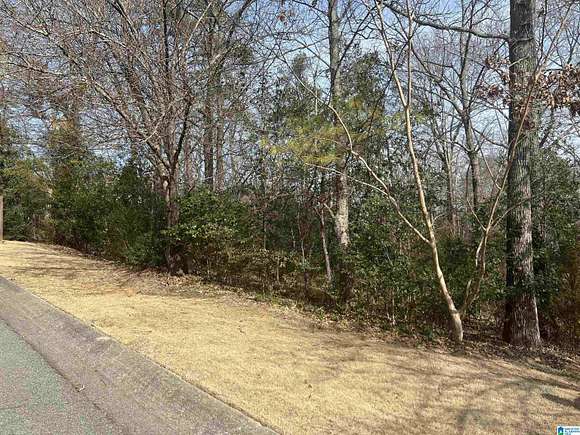 0.69 Acres of Residential Land for Sale in Mountain Brook, Alabama