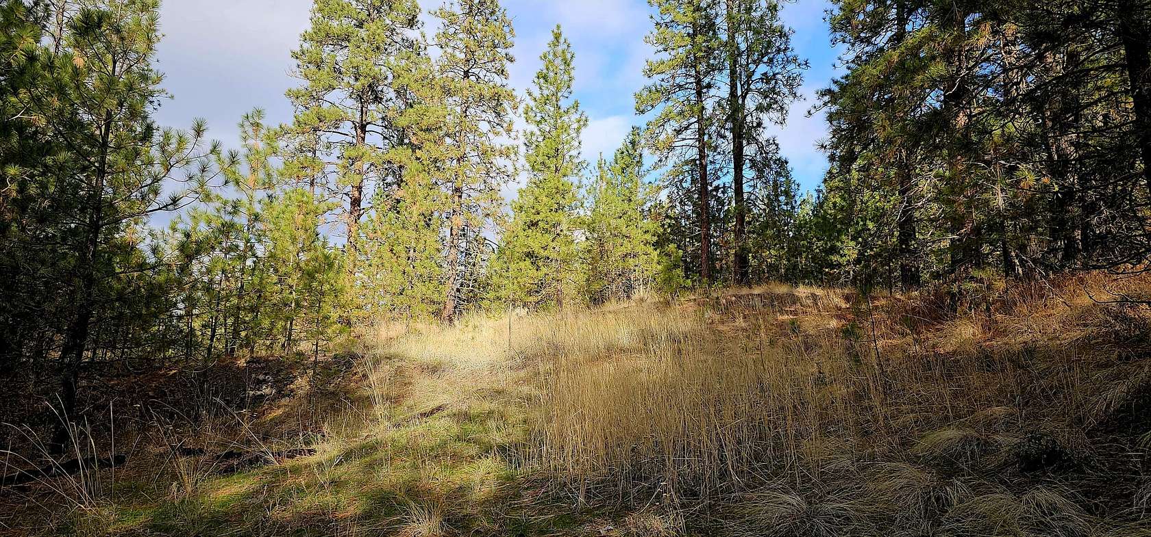 2.6 Acres of Land for Sale in Davenport, Washington