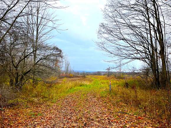 170 Acres of Land for Sale in Houghton, New York