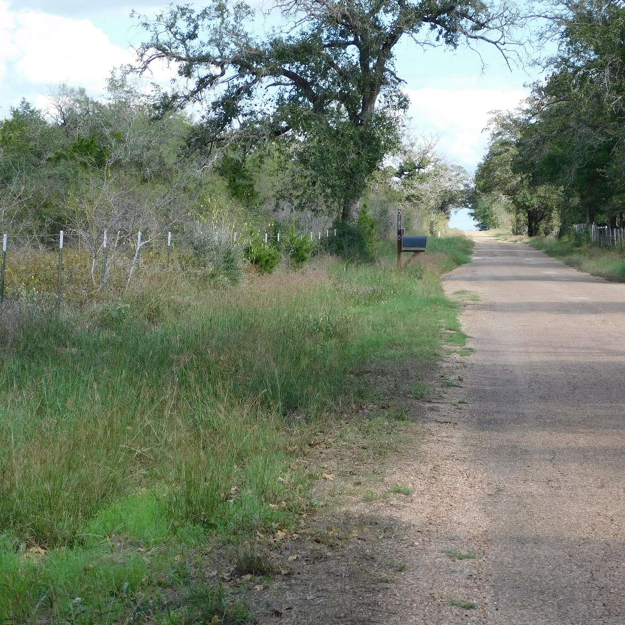 2 Acres of Land for Sale in Flatonia, Texas