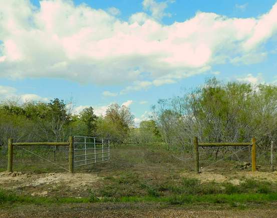 25.5 Acres of Recreational Land & Farm for Sale in Flatonia, Texas