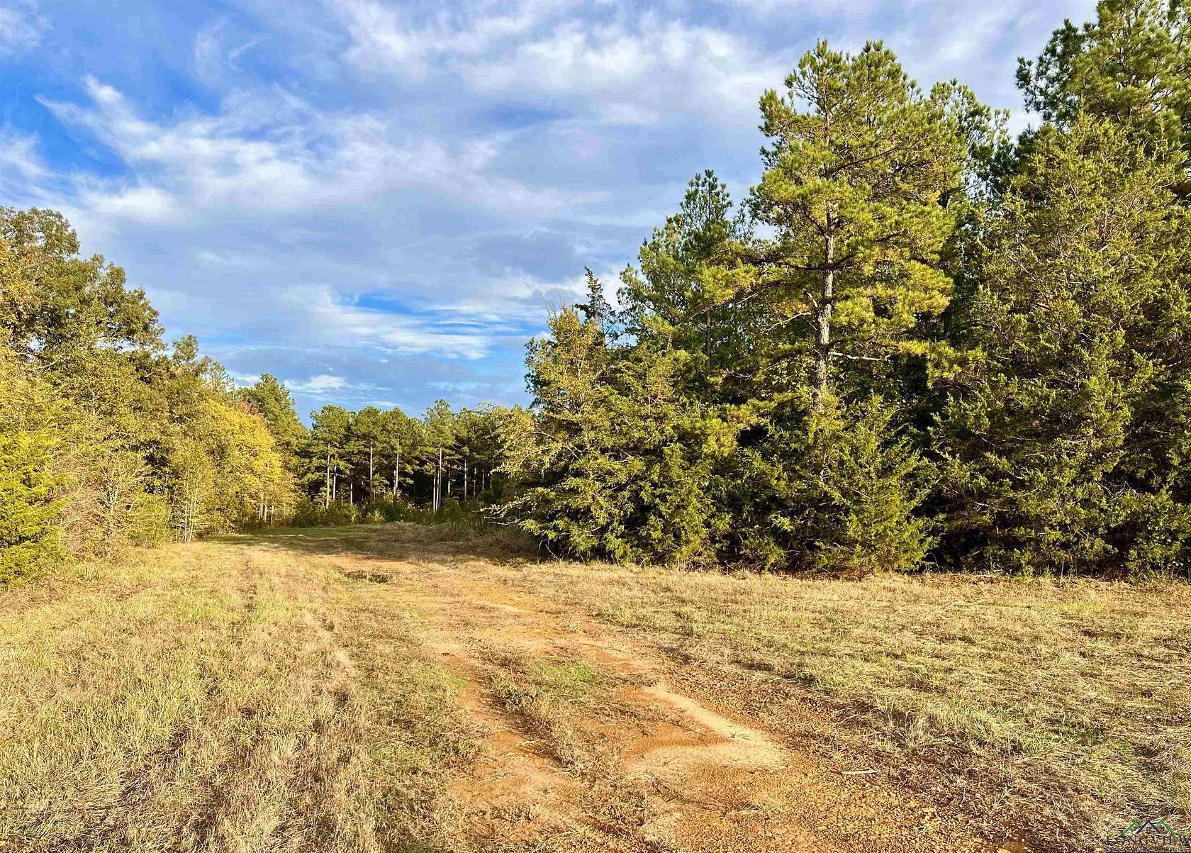 200 Acres of Recreational Land for Sale in Hughes Springs, Texas