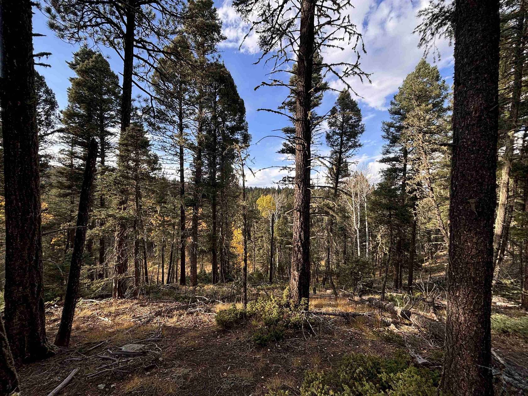 0.49 Acres of Residential Land for Sale in Angel Fire, New Mexico