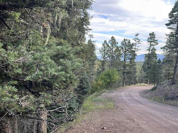 0.49 Acres of Residential Land for Sale in Angel Fire, New Mexico