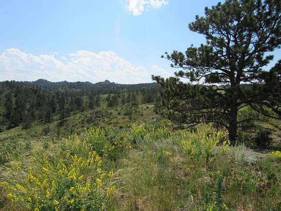 12.5 Acres of Recreational Land for Sale in Cheyenne, Wyoming