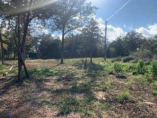 Residential Land for Sale in Smithville, Texas