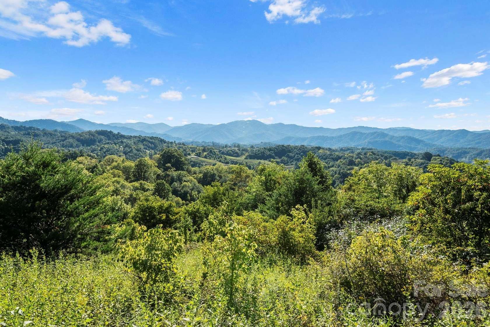 47.4 Acres of Recreational & Residential Land for Sale in Marshall, North Carolina