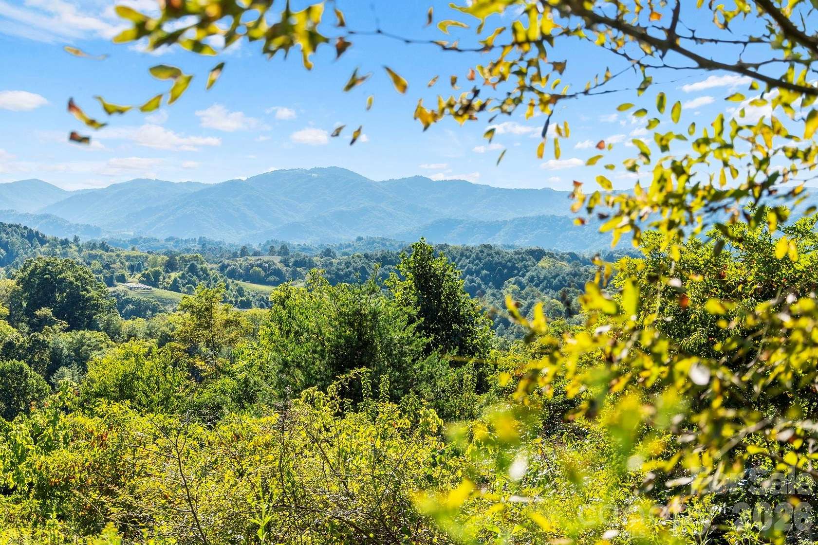 47.4 Acres of Recreational & Residential Land for Sale in Marshall, North Carolina
