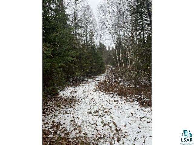 26 Acres of Land for Sale in Ely, Minnesota