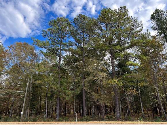 6.87 Acres of Land for Sale in Wagener, South Carolina