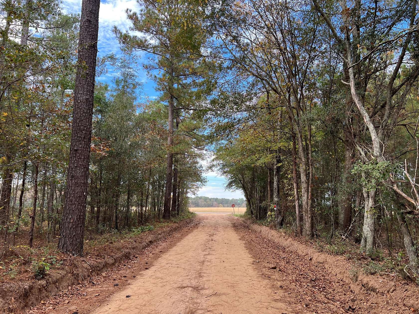 2 Acres of Land for Sale in Wagener, South Carolina