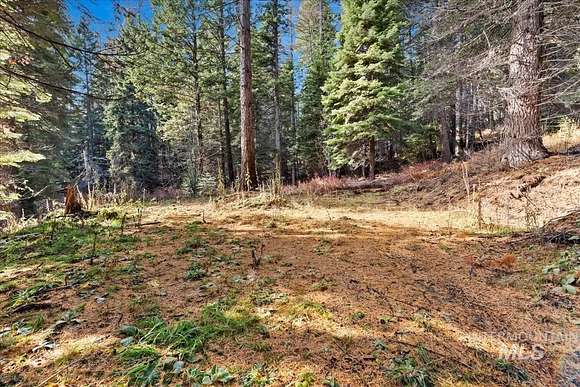 1.1 Acres of Land for Sale in Donnelly, Idaho