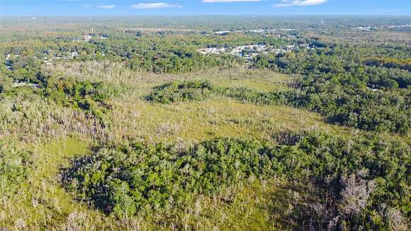 10 Acres of Recreational Land for Sale in Crystal River, Florida