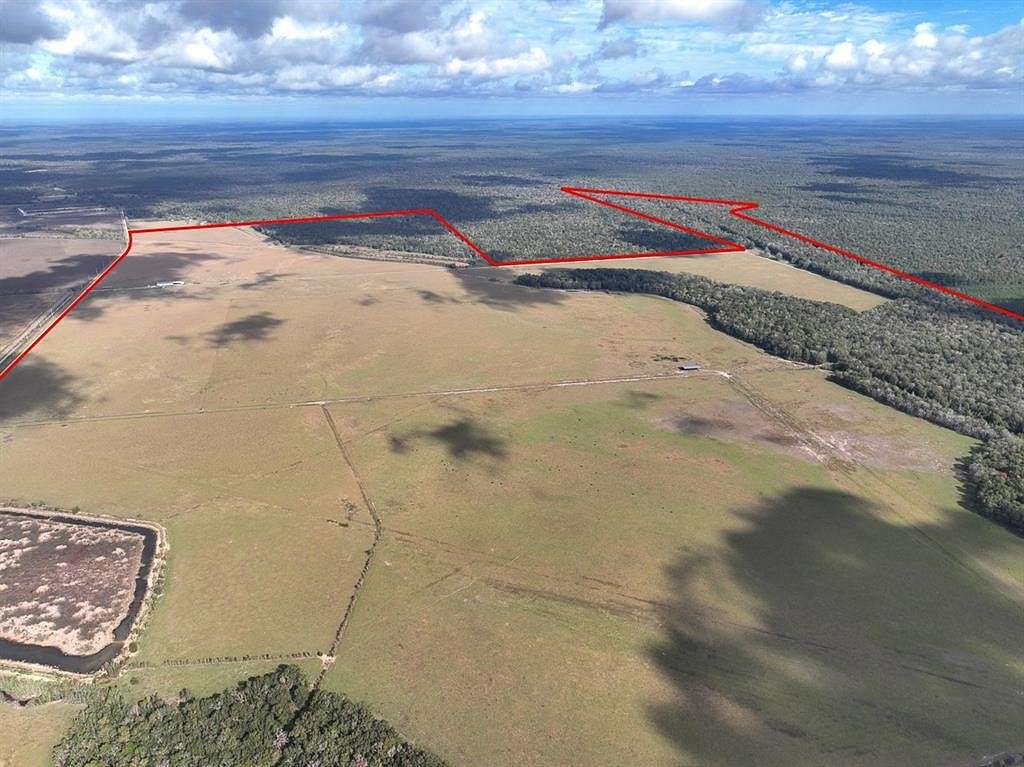 1,290 Acres of Land for Sale in Sour Lake, Texas