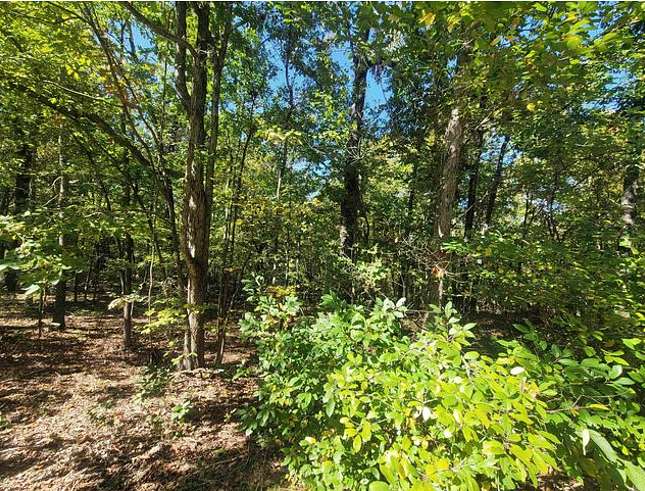 0.23 Acres of Land for Sale in Horseshoe Bend, Arkansas