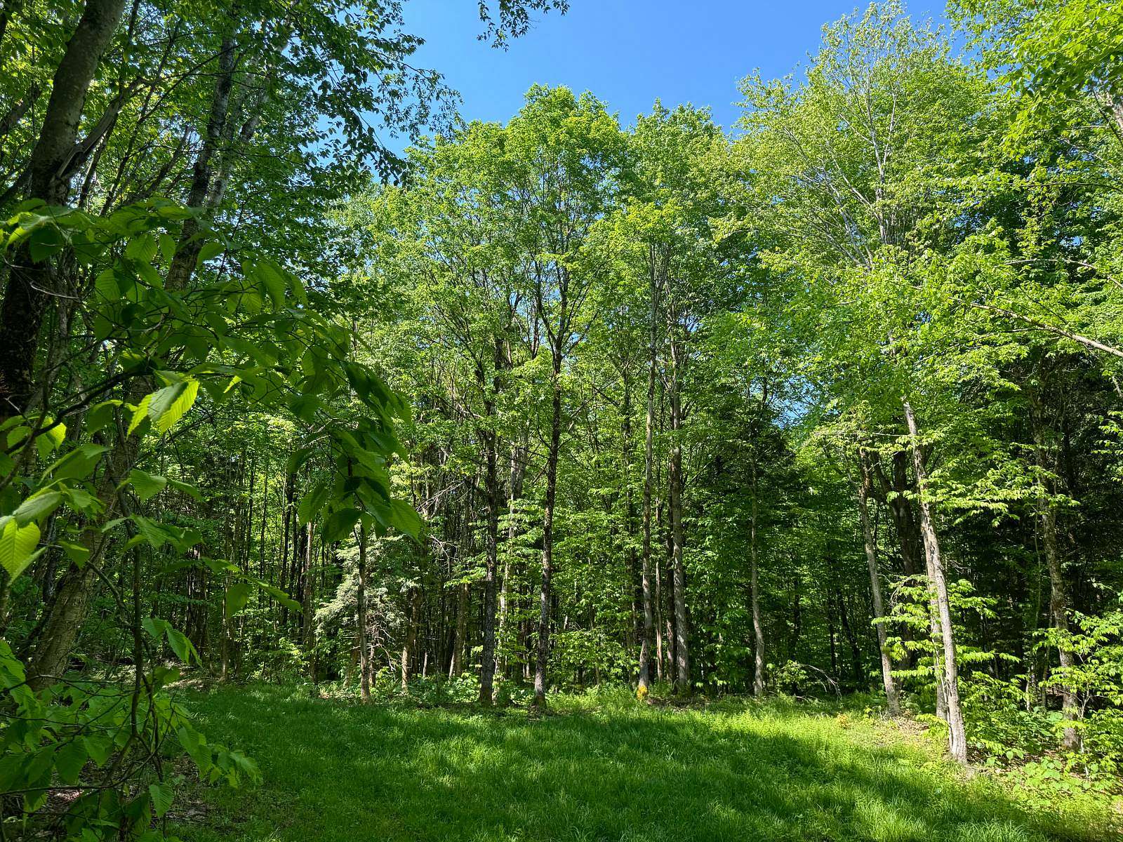 31.2 Acres of Recreational Land for Sale in Lewis Town, New York