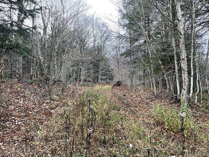 30.3 Acres of Recreational Land for Sale in Lewis Town, New York
